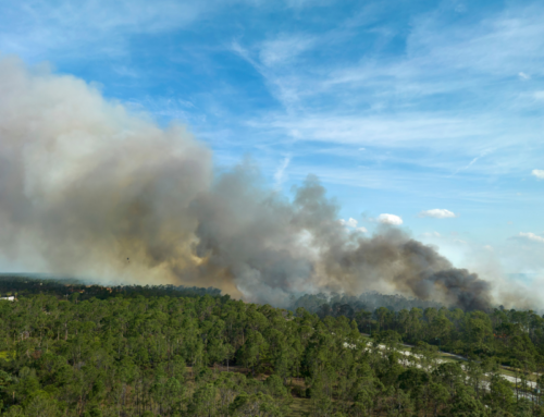 Five Ways to Prepare for Bushfire Season