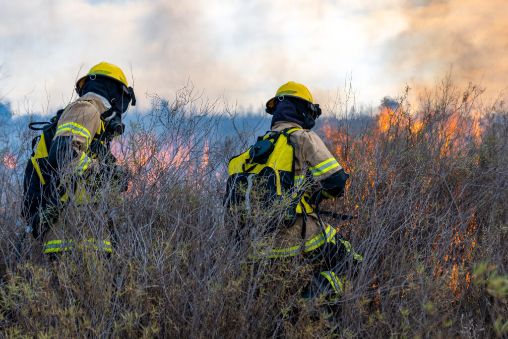 Firefighters preparing for bushfire season
