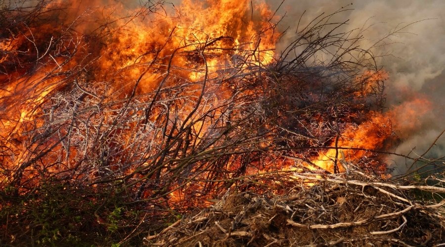 bushfires-environmental-issues-trends-impacting-large-claims-trends-2025