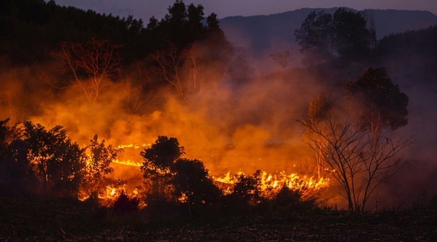 growing-bushfire-general-managers-guide-factors-impacting-property-insurance